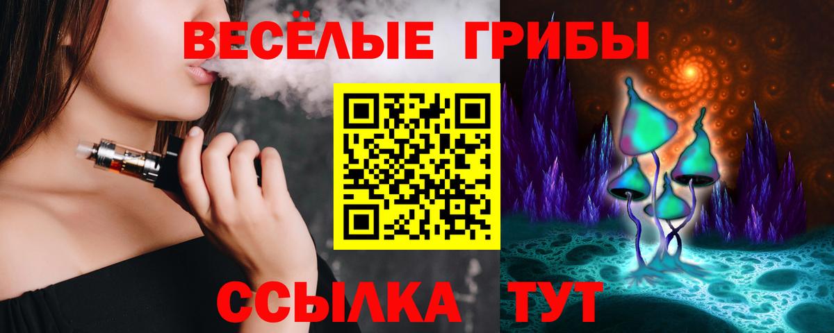Псилоцибиновые грибы мухоморы  закладка  Новоуральск  Галлюциногенные грибы Psilocybe  Вход с VPN 